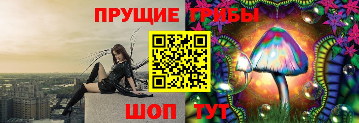 Галлюциногенные грибы Psilocybine cubensis  Вход с VPN  Саров 